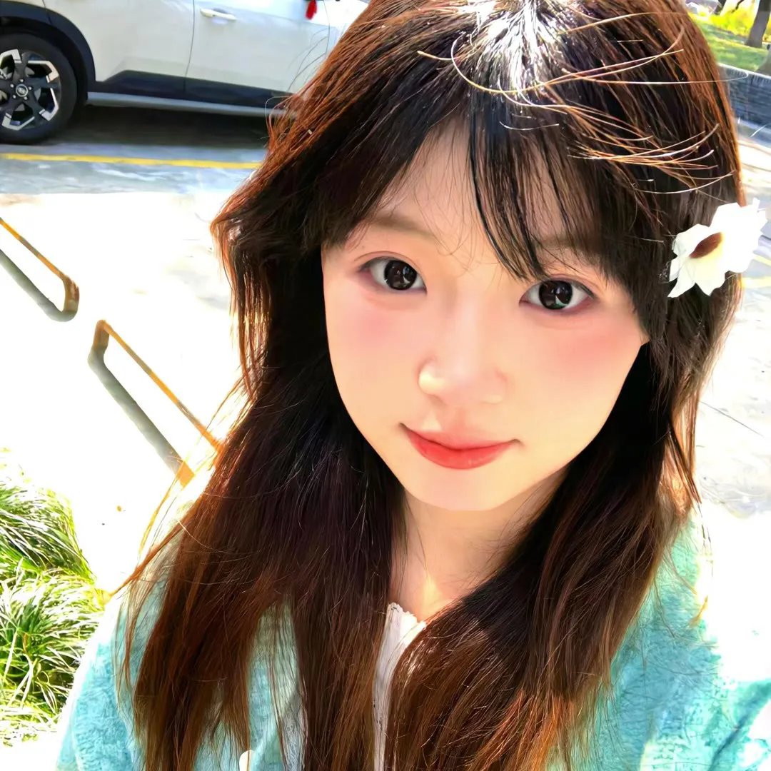 大唐女巡按